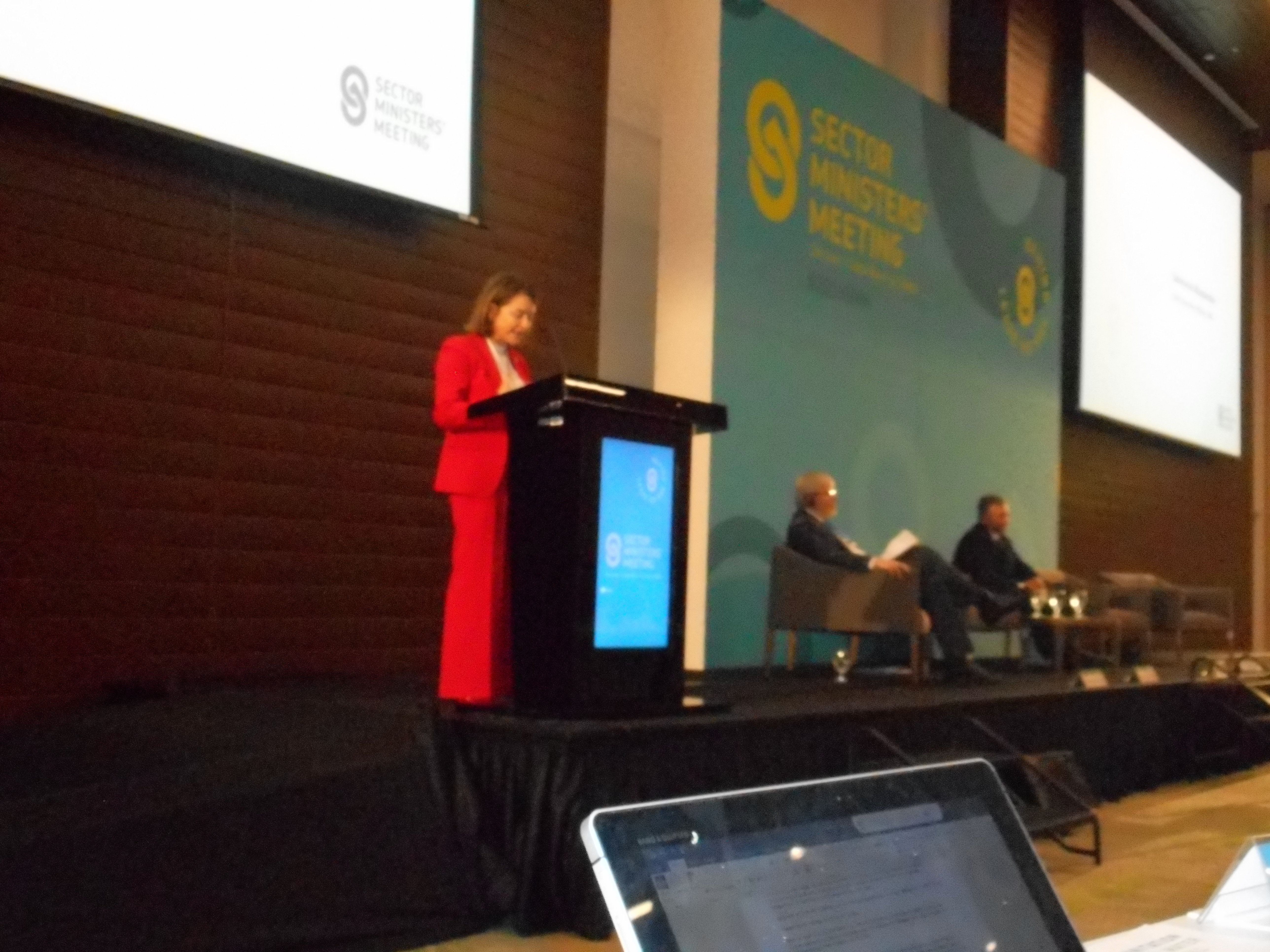 Sector Ministers’ Meeting (SMM)
